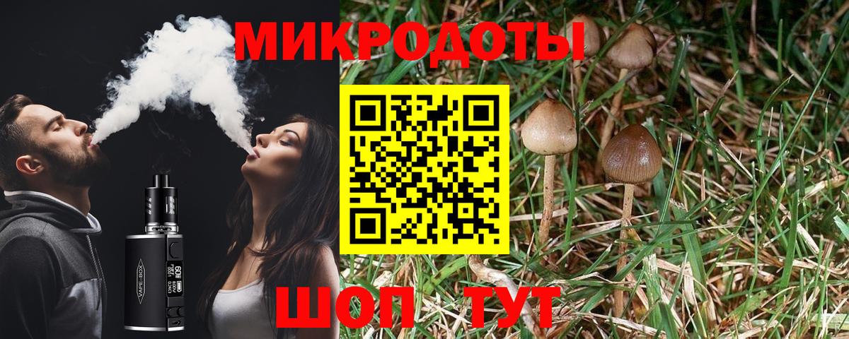 Дальнегорск  Галлюциногенные грибы Psilocybe  Галлюциногенные грибы ЛСД  Вход с VPN 